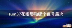 sum37花瓣唇釉哪个色号最火