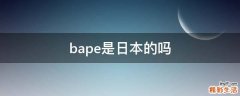 bape是日本的吗