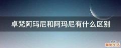卓梵阿玛尼和阿玛尼有什么区别