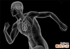人到多少岁开始老化 身体各器官工作时间表