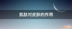 肌肽对皮肤的作用