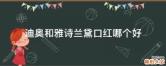 迪奥和雅诗兰黛口红哪个好