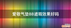 爱敬气垫BB遮瑕效果好吗