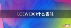 LOEWE001什么香味