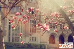 角膜溃疡是怎么回事？