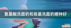 氨基酸洗面奶和皂基洗面奶哪种好