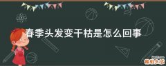 春季头发变干枯是怎么回事