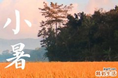 2023年小暑是几月几号