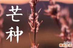 2023年芒种时间