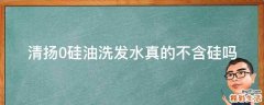 清扬0硅油洗发水真的不含硅吗