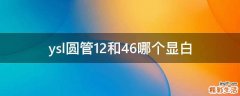 ysl圆管12和46哪个显白