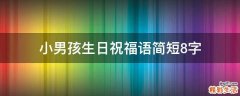 小男孩生日祝福语简短8字