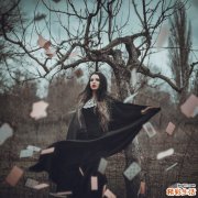 11 蒲黄