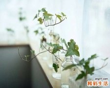 5味食物巧搭配预防高血压