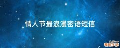 情人节最浪漫密语短信