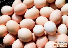 对鸡蛋过敏可以吃鸡肉吗