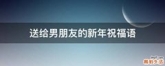 送给男朋友的新年祝福语