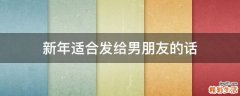 新年适合发给男朋友的话