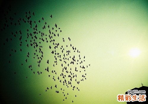 青春期长雀斑正常吗