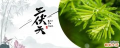 三伏贴要去哪里贴 免疫力低下三伏贴贴哪