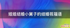 姐姐结婚小舅子的结婚祝福语