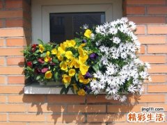 4 职场单身女人无厘头有八个特征？