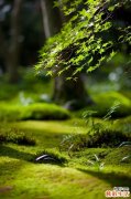 男人青春永驻之--有关皱纹