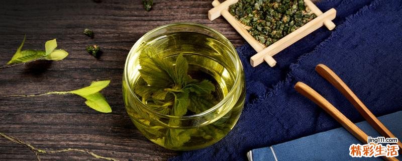 桑叶外洗湿疹功效 桑叶外用可以消除水肿吗