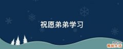 祝愿弟弟学习