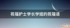 祝福护士学长学姐的祝福语