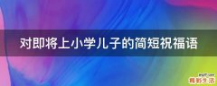 对即将上小学儿子的简短祝福语