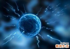不排卵试纸会出现两条线吗