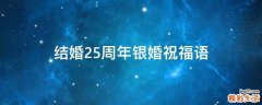 结婚25周年银婚祝福语