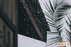 雨天天气幽默搞笑朋友圈文案80句