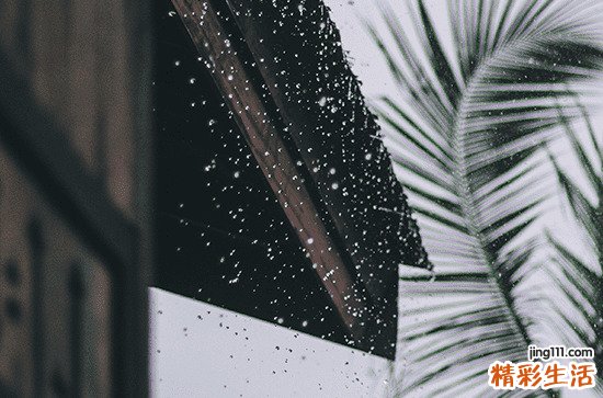 雨天天气幽默搞笑朋友圈文案80句