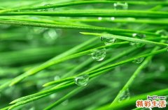 汇总80句 描写下雨天气的浪漫说说
