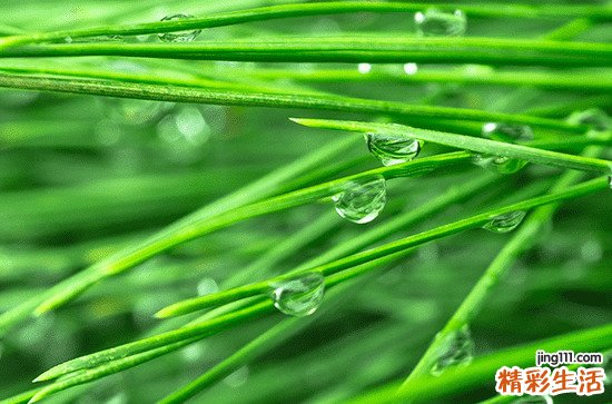 汇总80句 描写下雨天气的浪漫说说