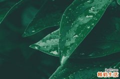 适合阴雨天发布的朋友圈句子80句