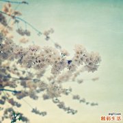 出血了，该如何自救？