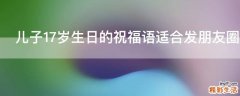 儿子17岁生日的祝福语适合发朋友圈