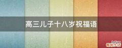 高三儿子十八岁祝福语