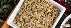 小茴香泡水喝一次多少的量 小茴香泡水喝可以治盆腔积液吗