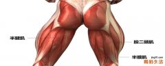 练瑜伽大腿拉伤怎么办 大腿后侧拉伤恢复训练