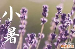 130句 有关小暑节气的文案说说