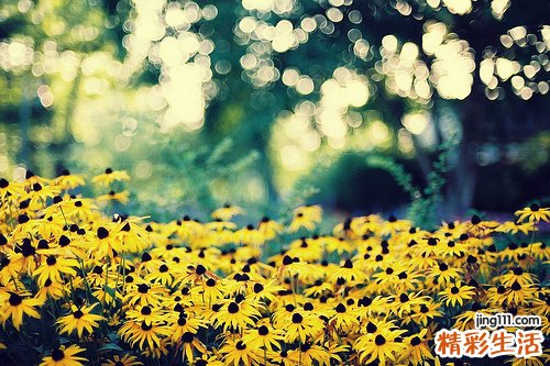 两个月游泳可以减肥吗