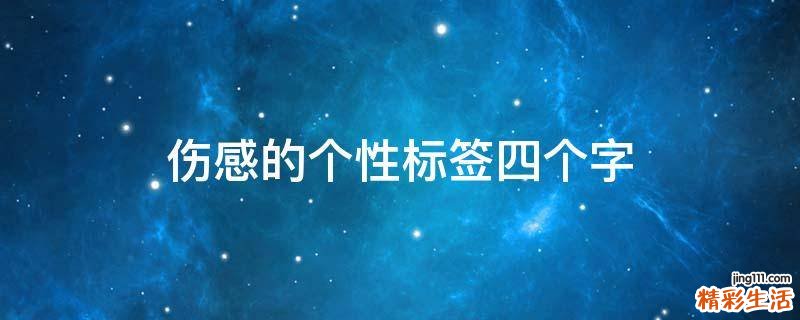 伤感的个性标签四个字