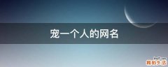 宠一个人的网名