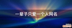 一辈子只爱一个人网名
