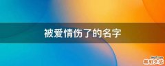被爱情伤了的名字