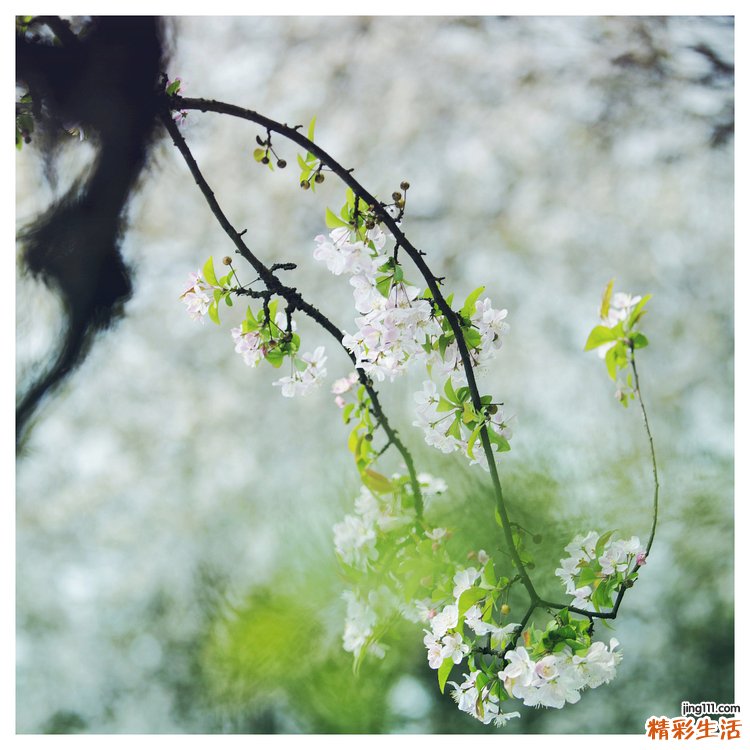 眼线液的画法